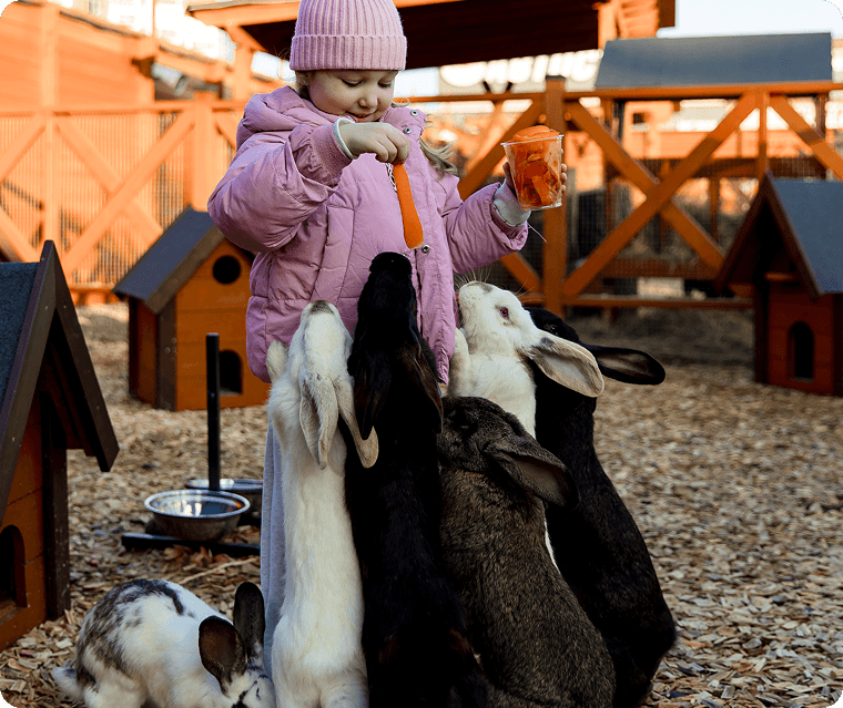 ЖИВОЕ ОБЩЕНИЕ С ЖИВОТНЫМИ